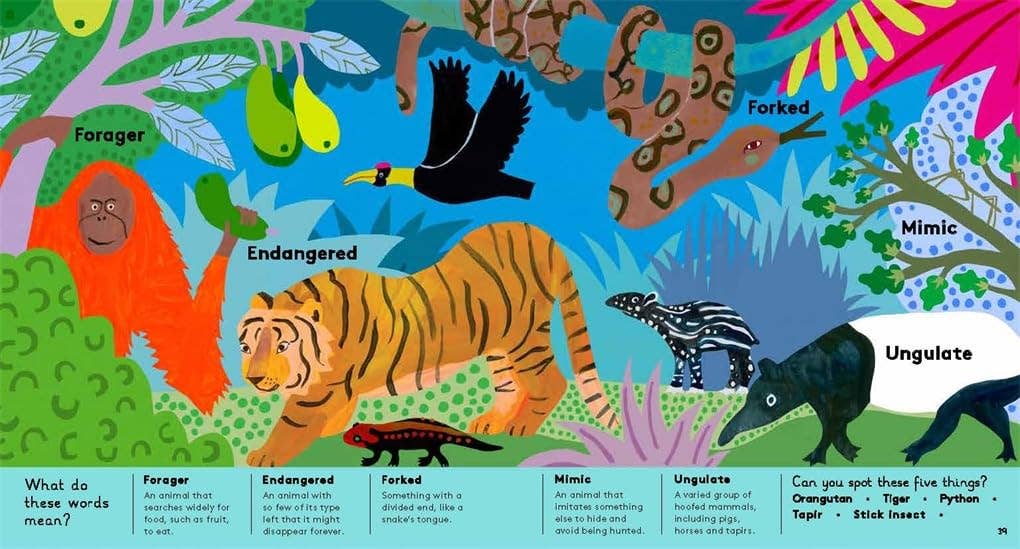 Animal Words For Little Zoologists (Little Word Whiz)