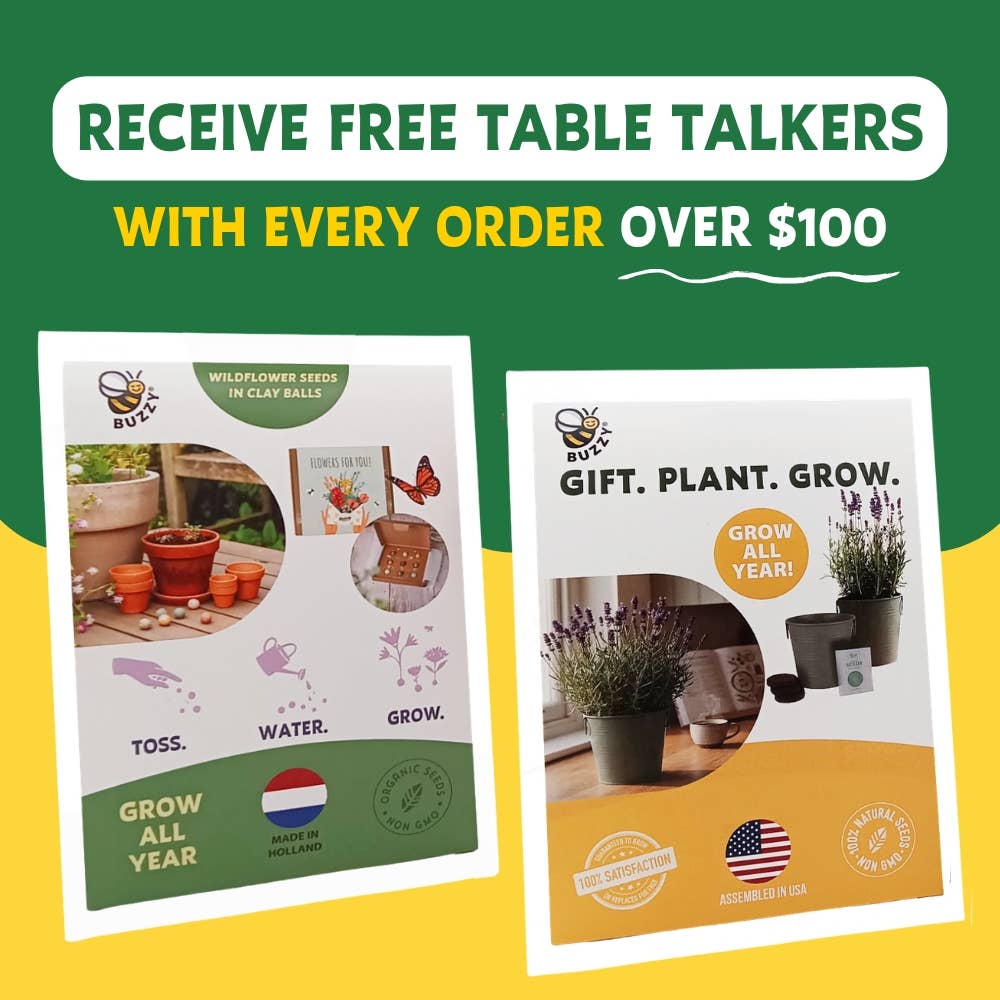 Galvanized Windowsill Herb Grow Kit | Indoor | Gift Set