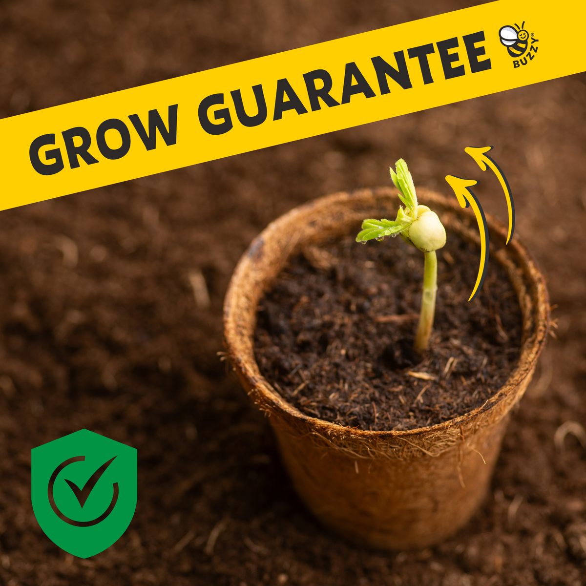 Galvanized Windowsill Herb Grow Kit | Indoor | Gift Set