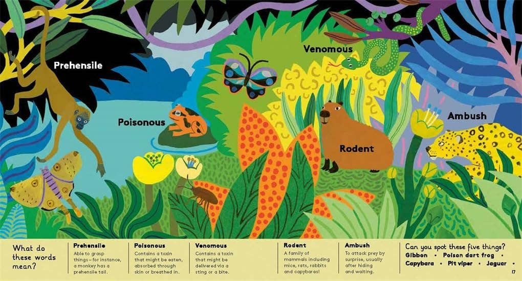 Animal Words For Little Zoologists (Little Word Whiz)