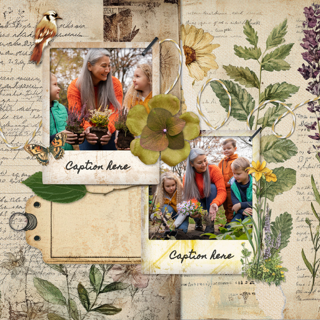 Timeless Treasures A Grandparent / Grandchild Keepsake Album