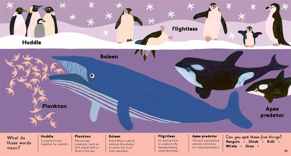 Animal Words For Little Zoologists (Little Word Whiz)