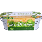 Galvanized Windowsill Herb Grow Kit | Indoor | Gift Set