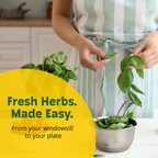 Galvanized Windowsill Herb Grow Kit | Indoor | Gift Set