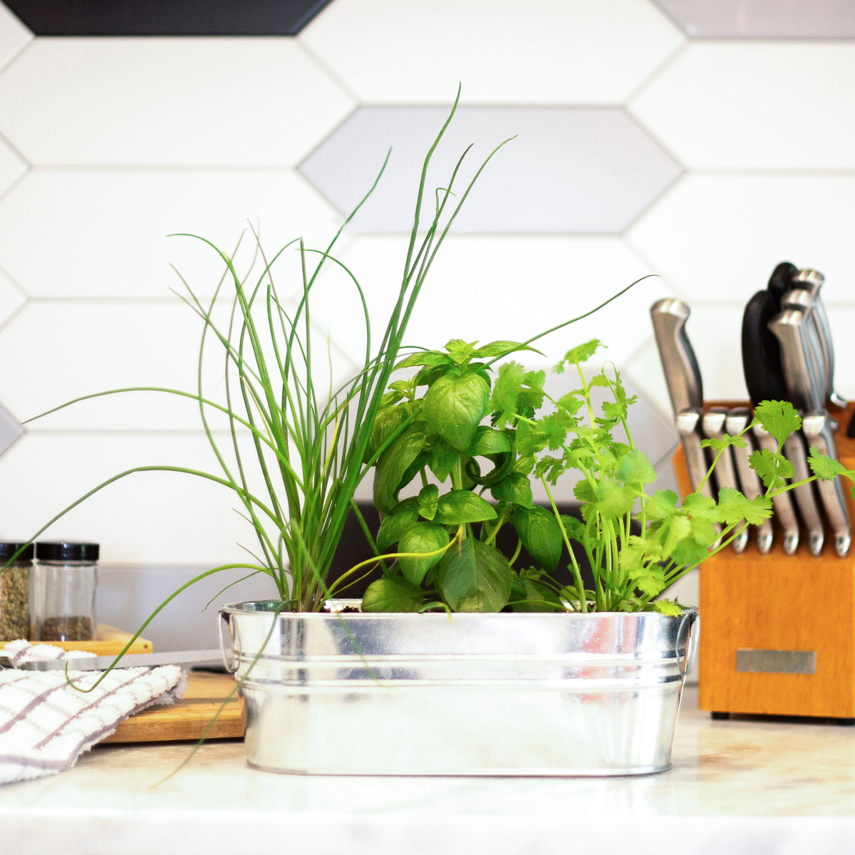 Galvanized Windowsill Herb Grow Kit | Indoor | Gift Set